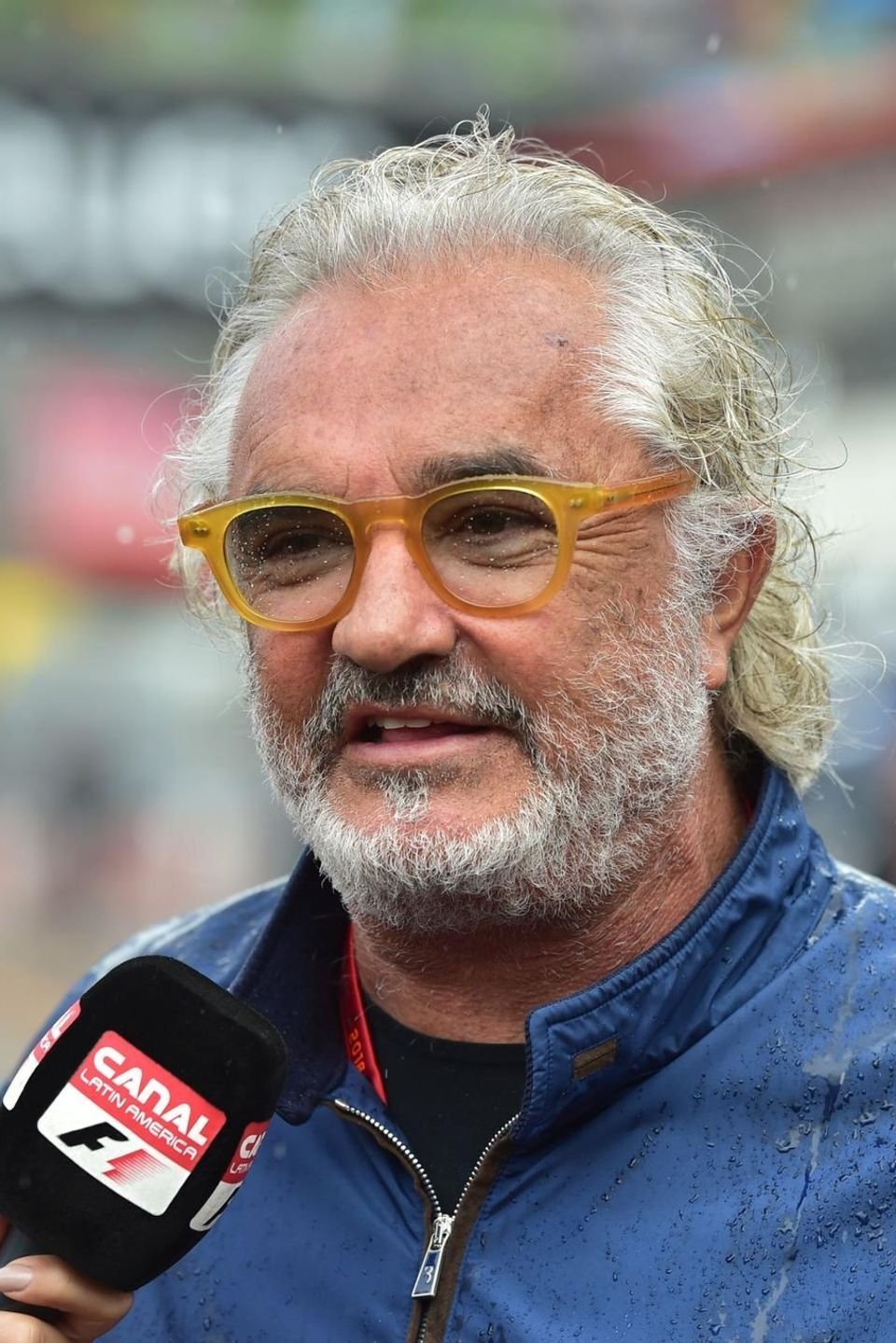 Flavio Briatore image