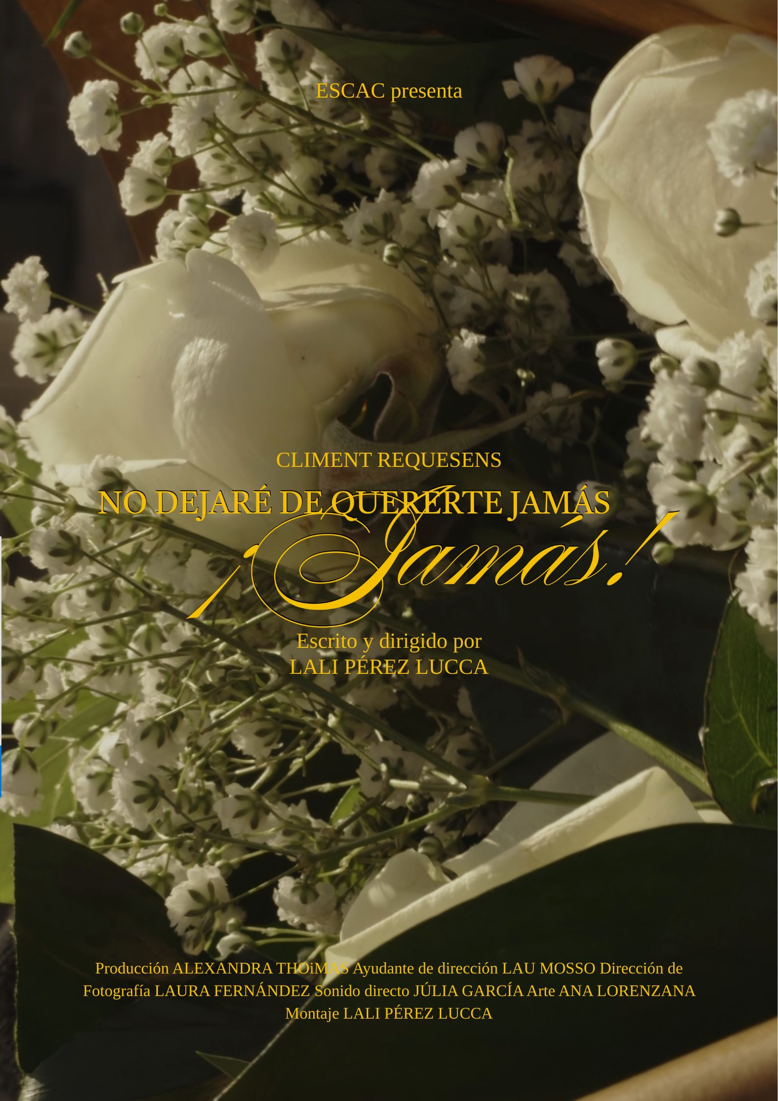 No dejaré de quererte jamás, ¡Jamás!