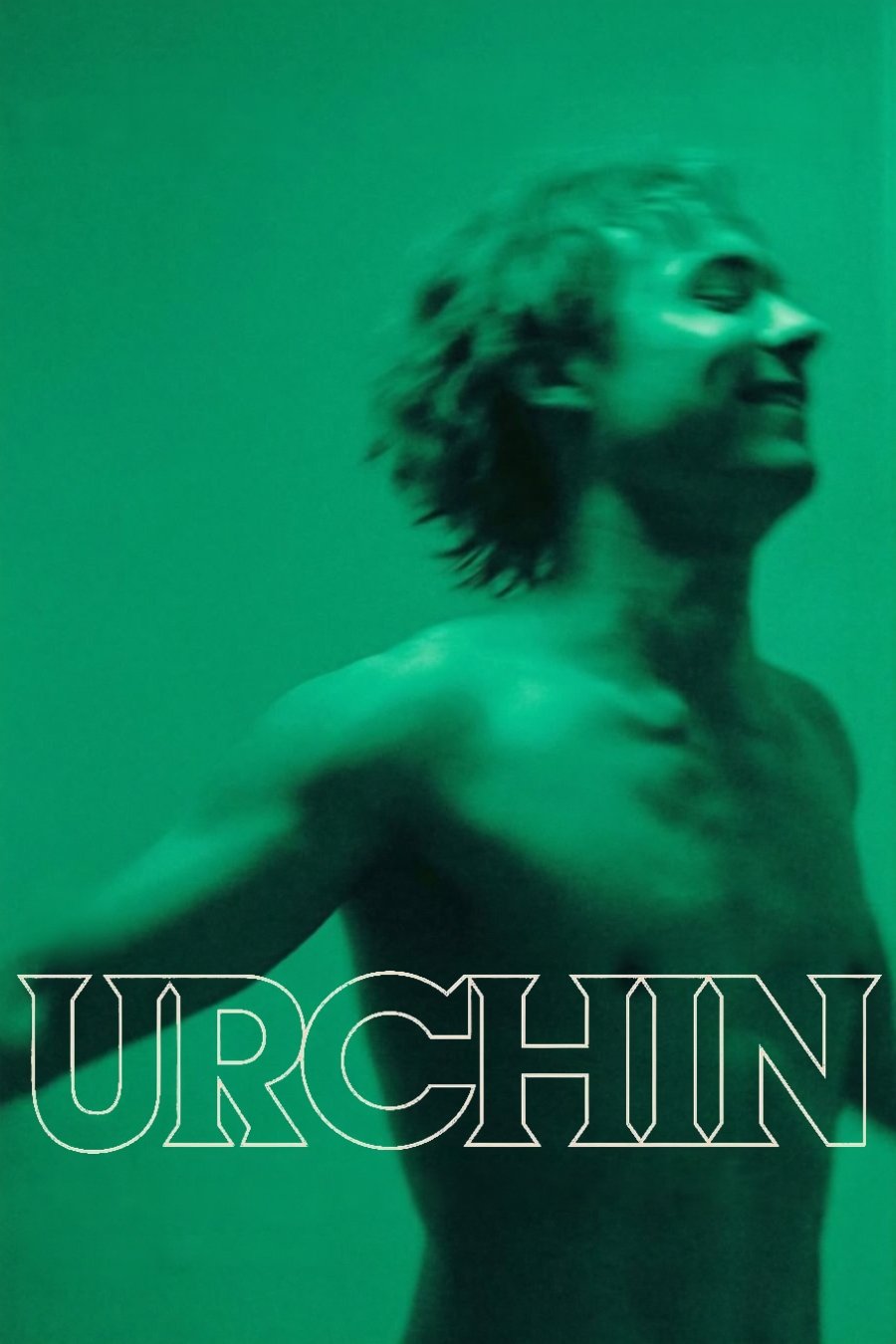 Urchin