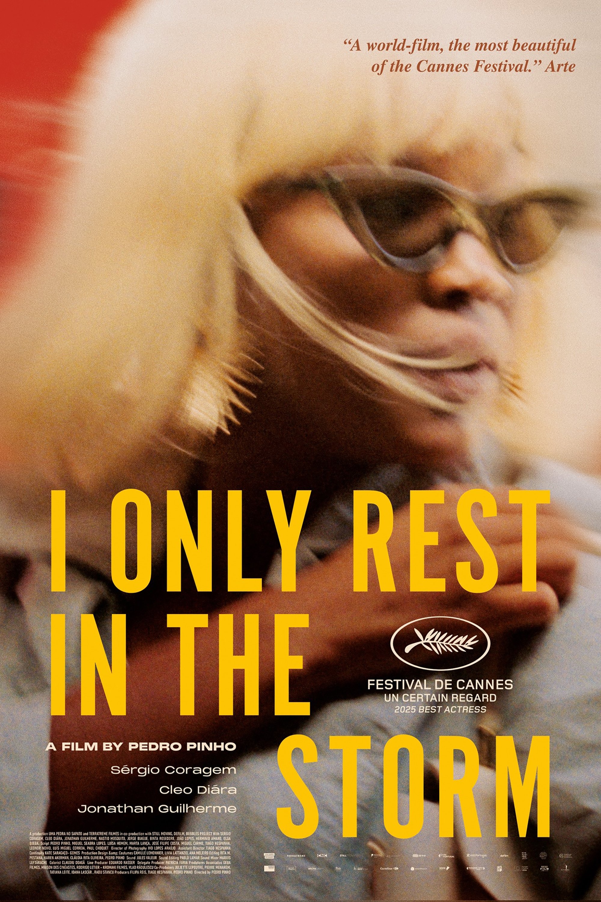 I Only Rest in the Storm