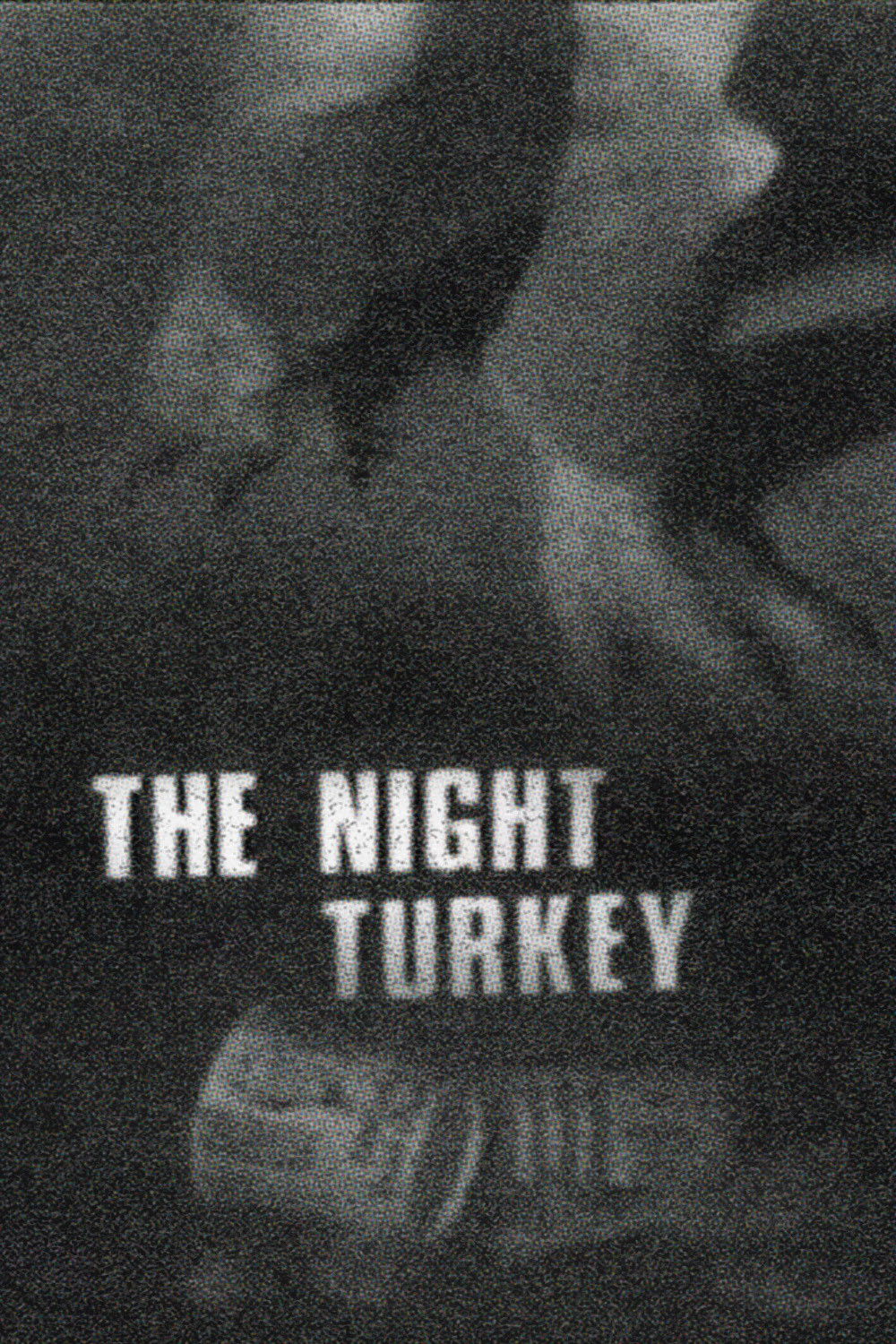 The Night Turkey