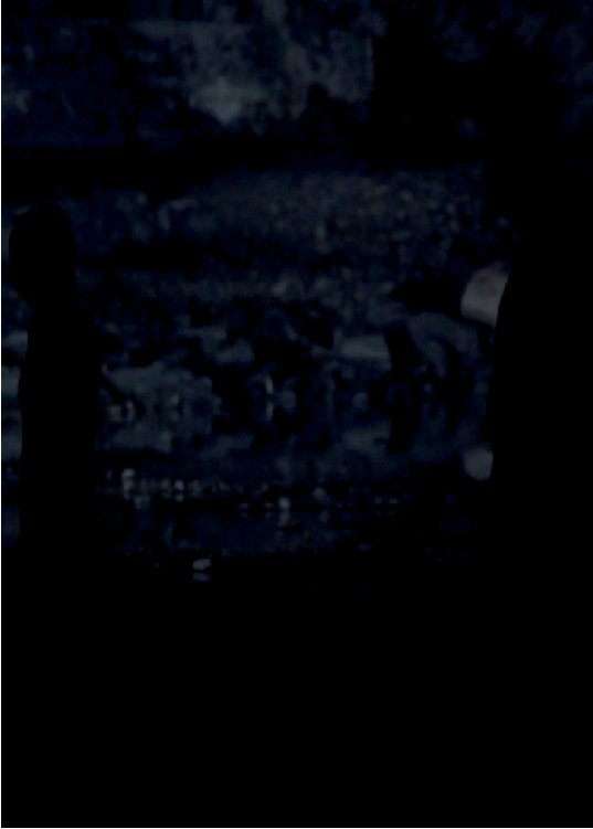 The Explorers
