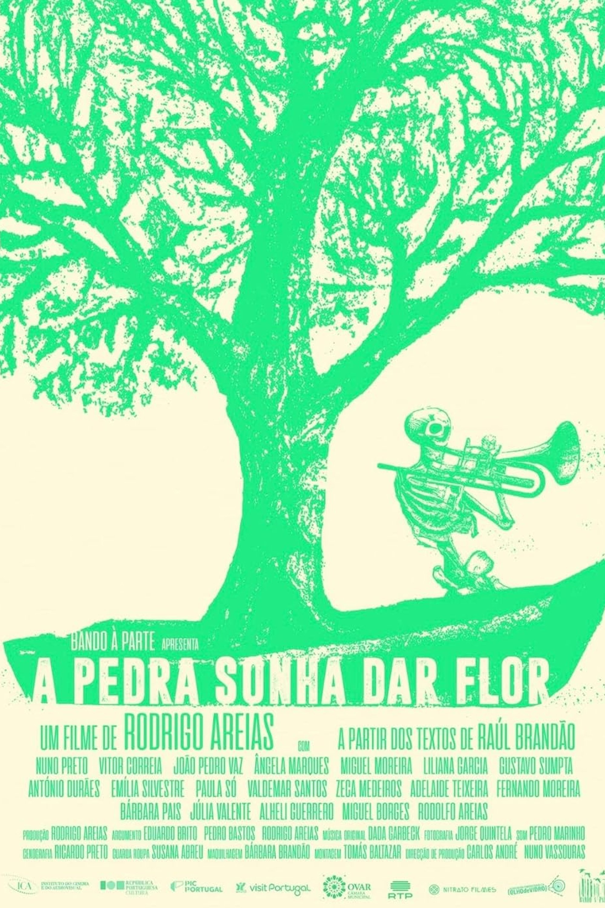 A Pedra Sonha Dar Flor