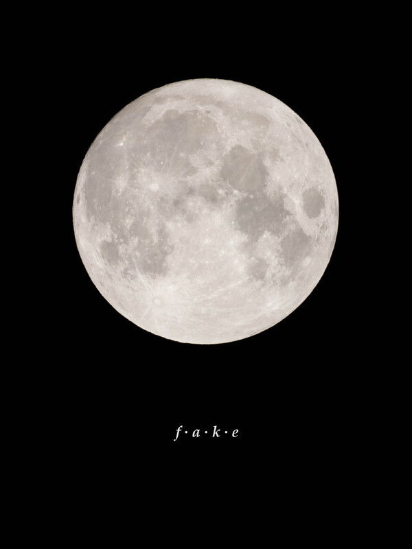 Fake