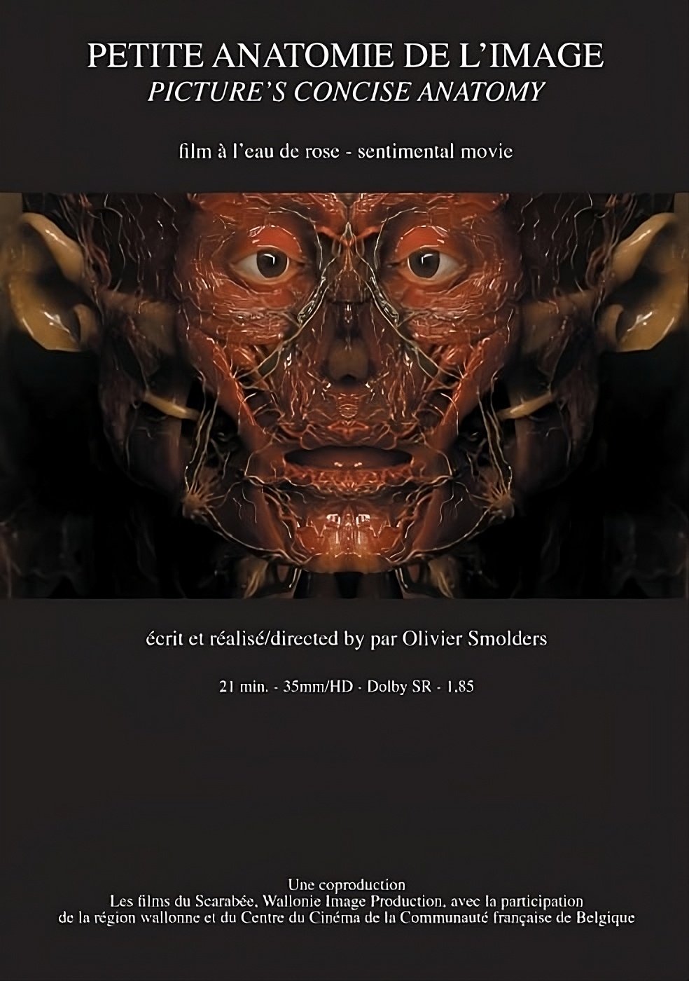 Petite anatomie de l'image