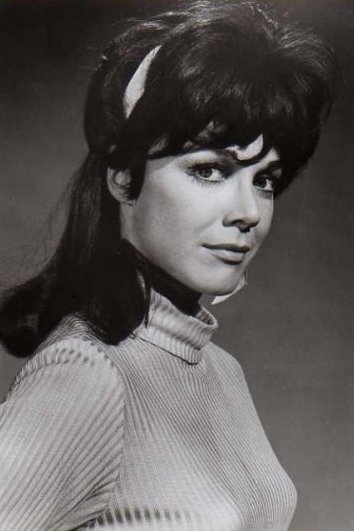 Dodie Marshall image