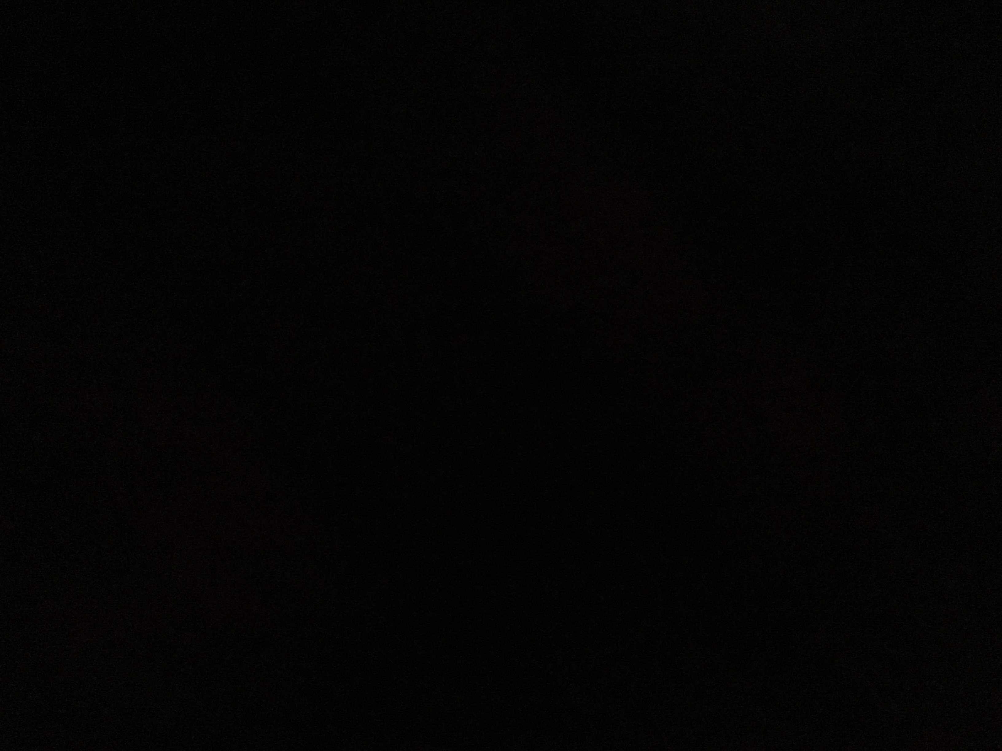  PFP