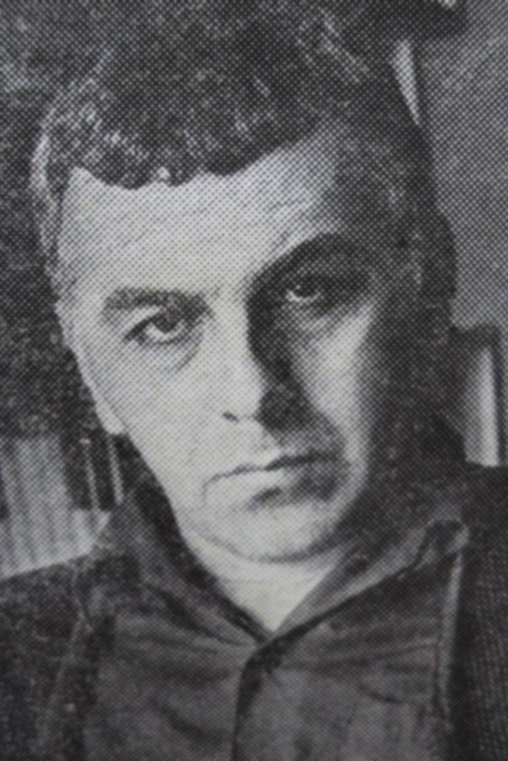 Tamaz Bibiluri image
