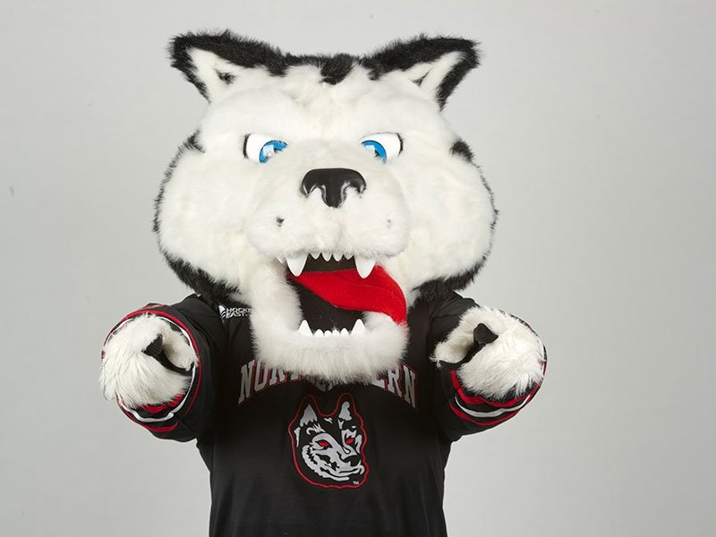 Husky Verse PFP