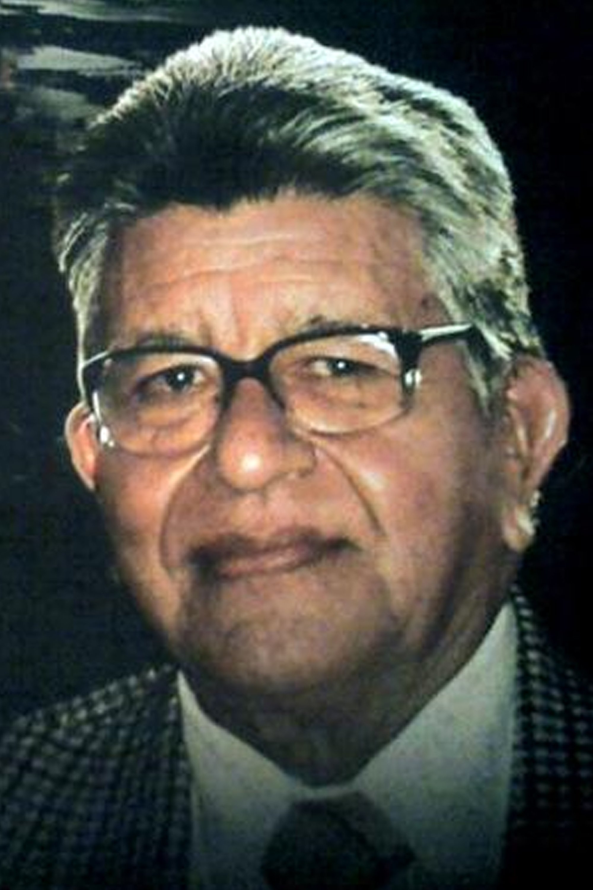José Palomino image