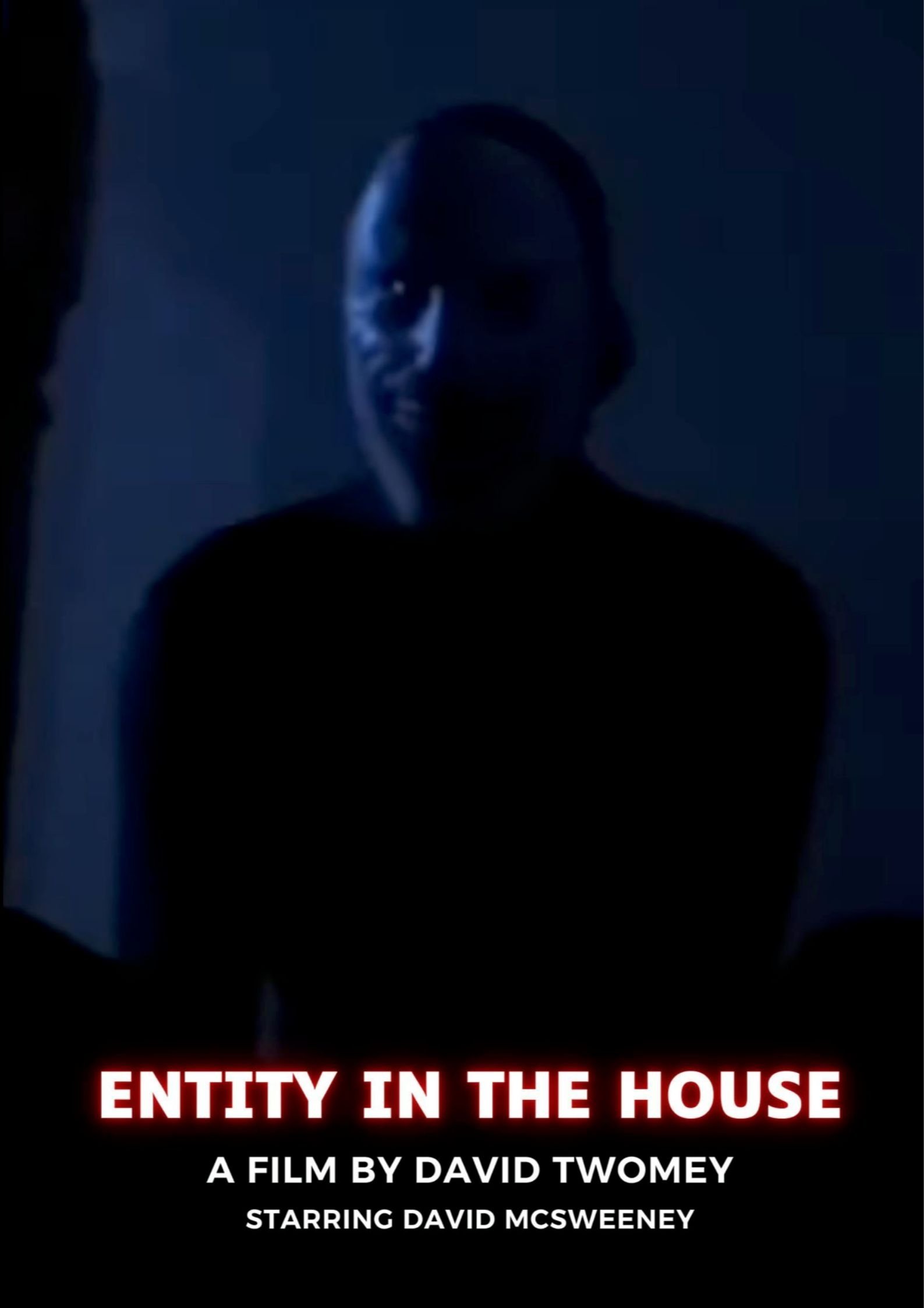ENTITY IN THE HOUSE