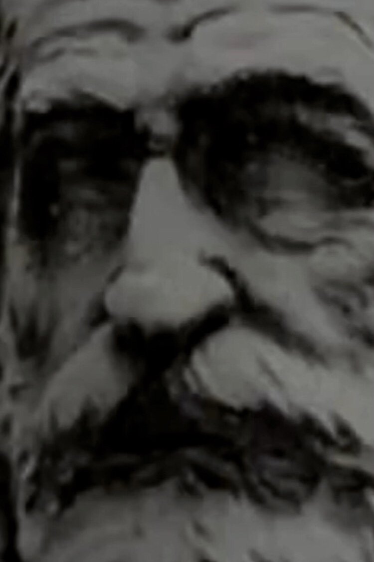Di Verdi Si Muore