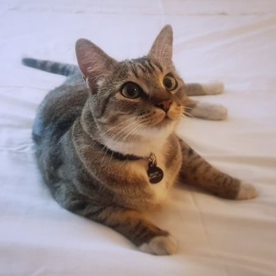 rubezky PFP
