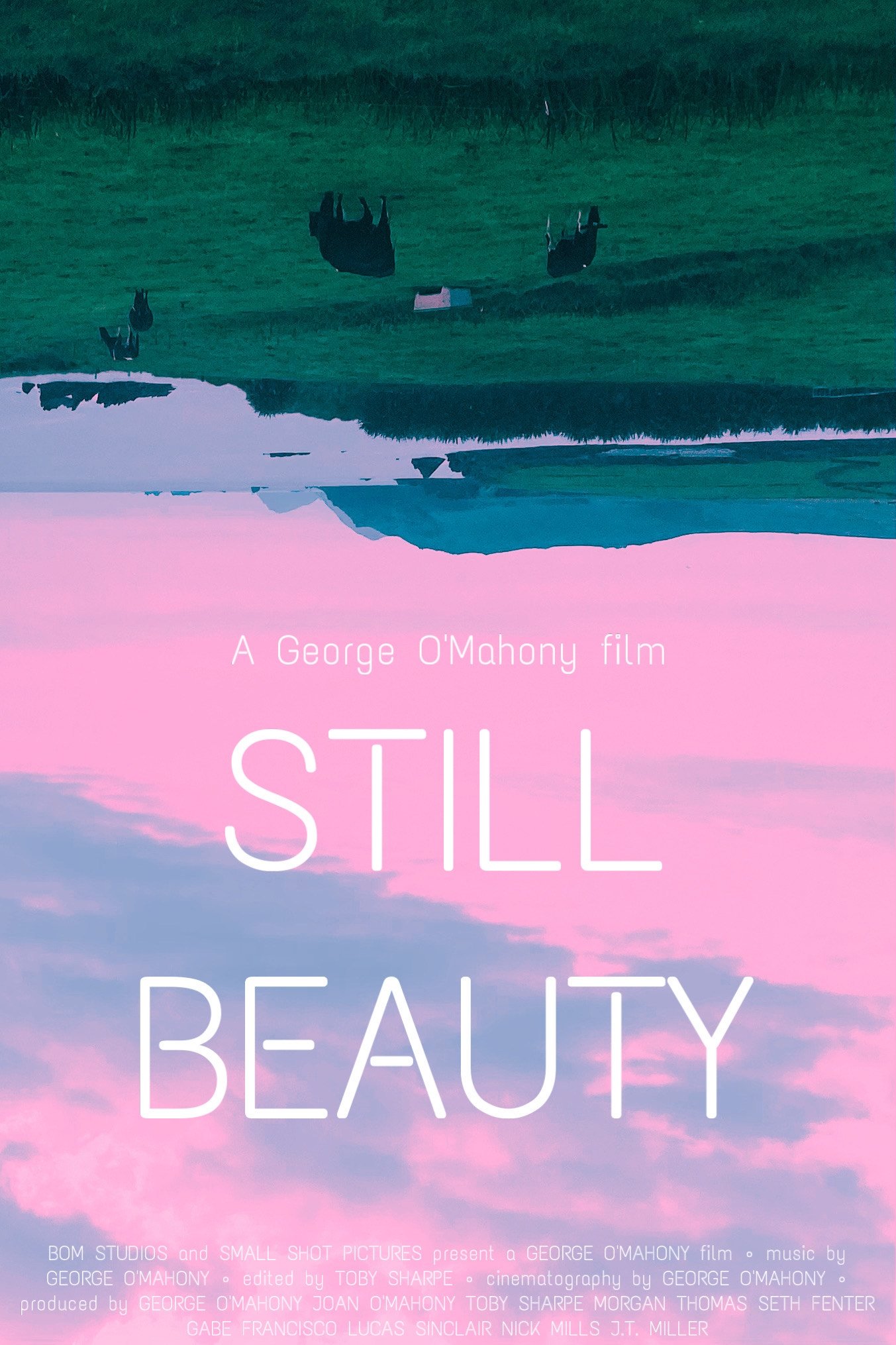 Still Beauty