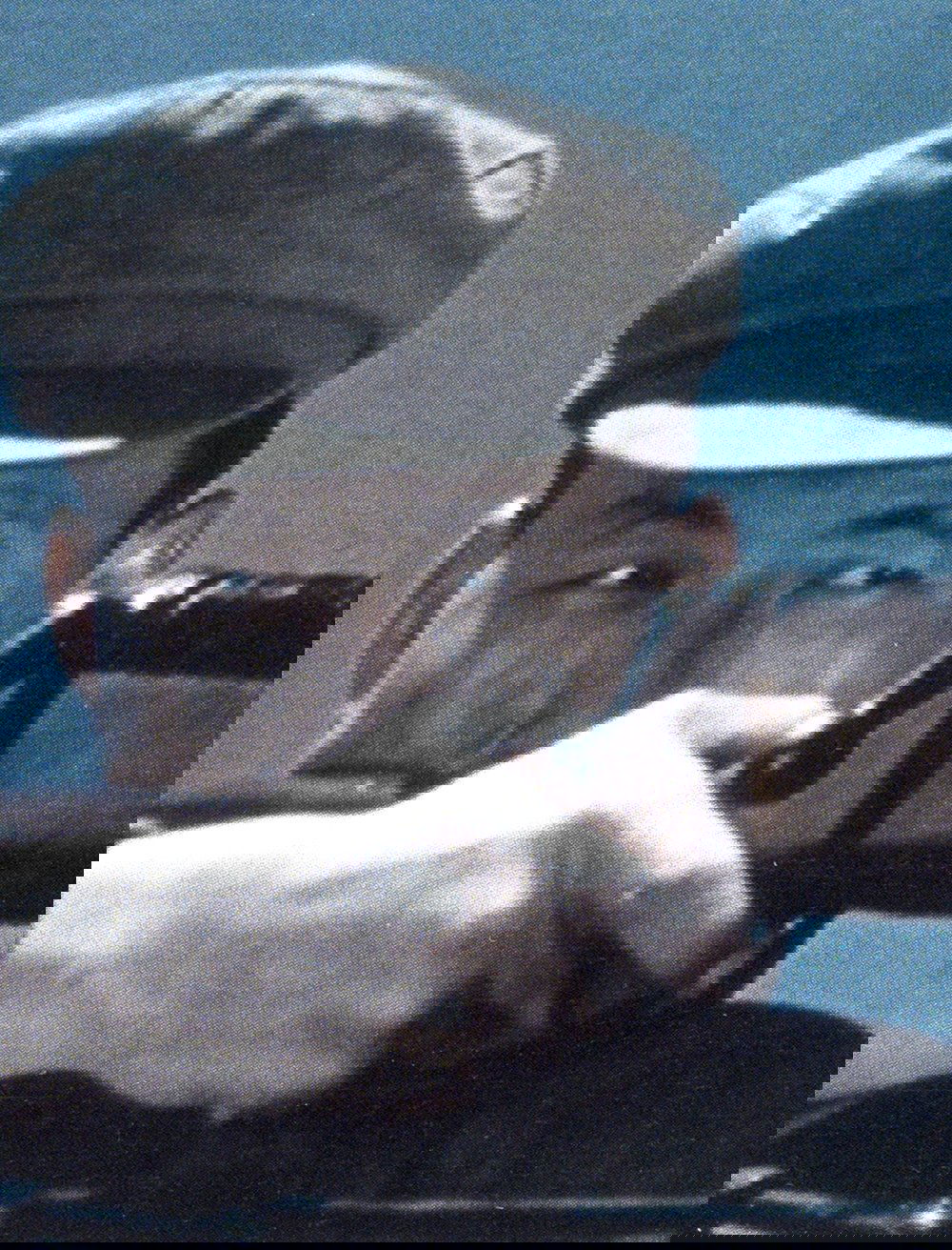 Cry of the China Seas