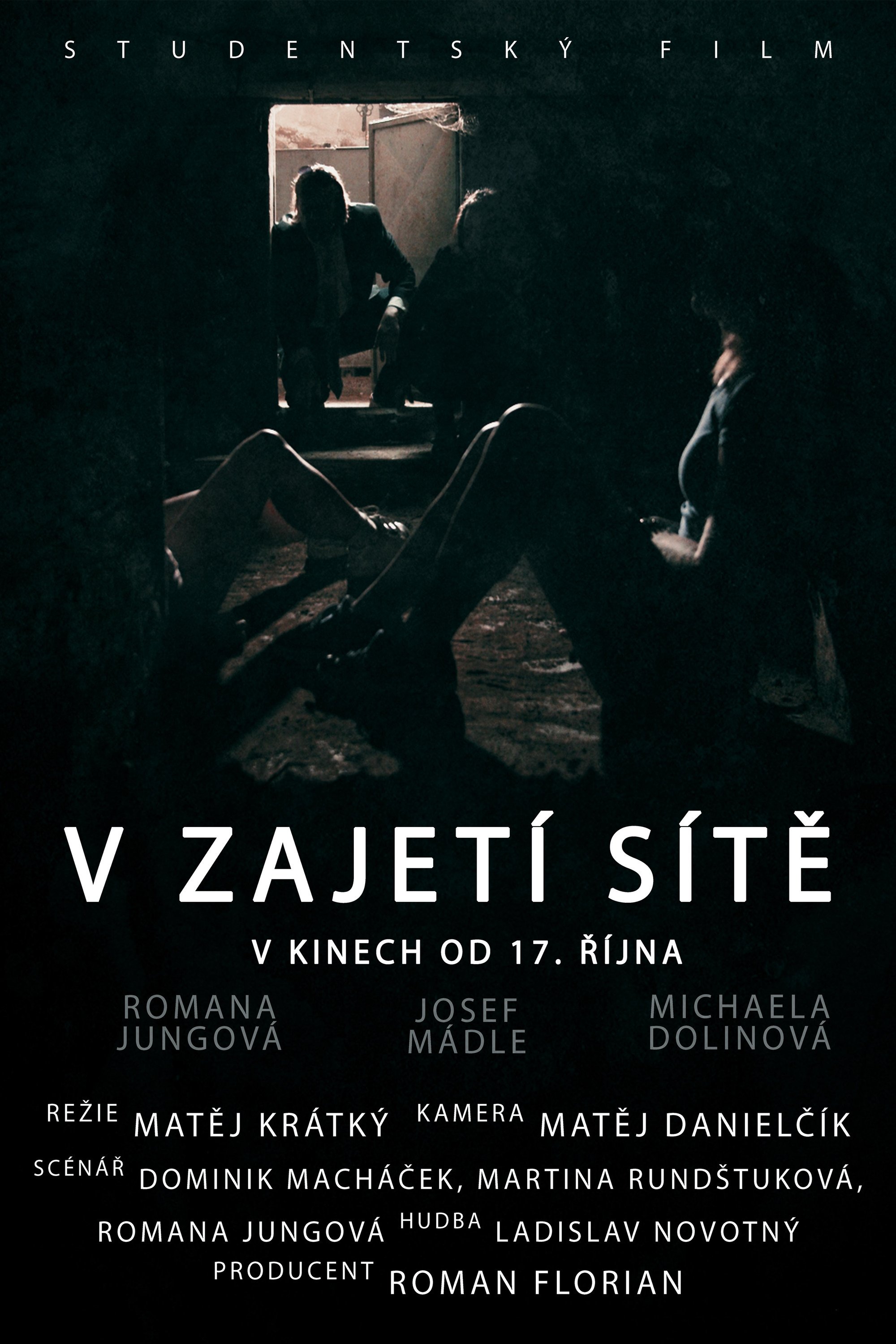 V zajetí sítě