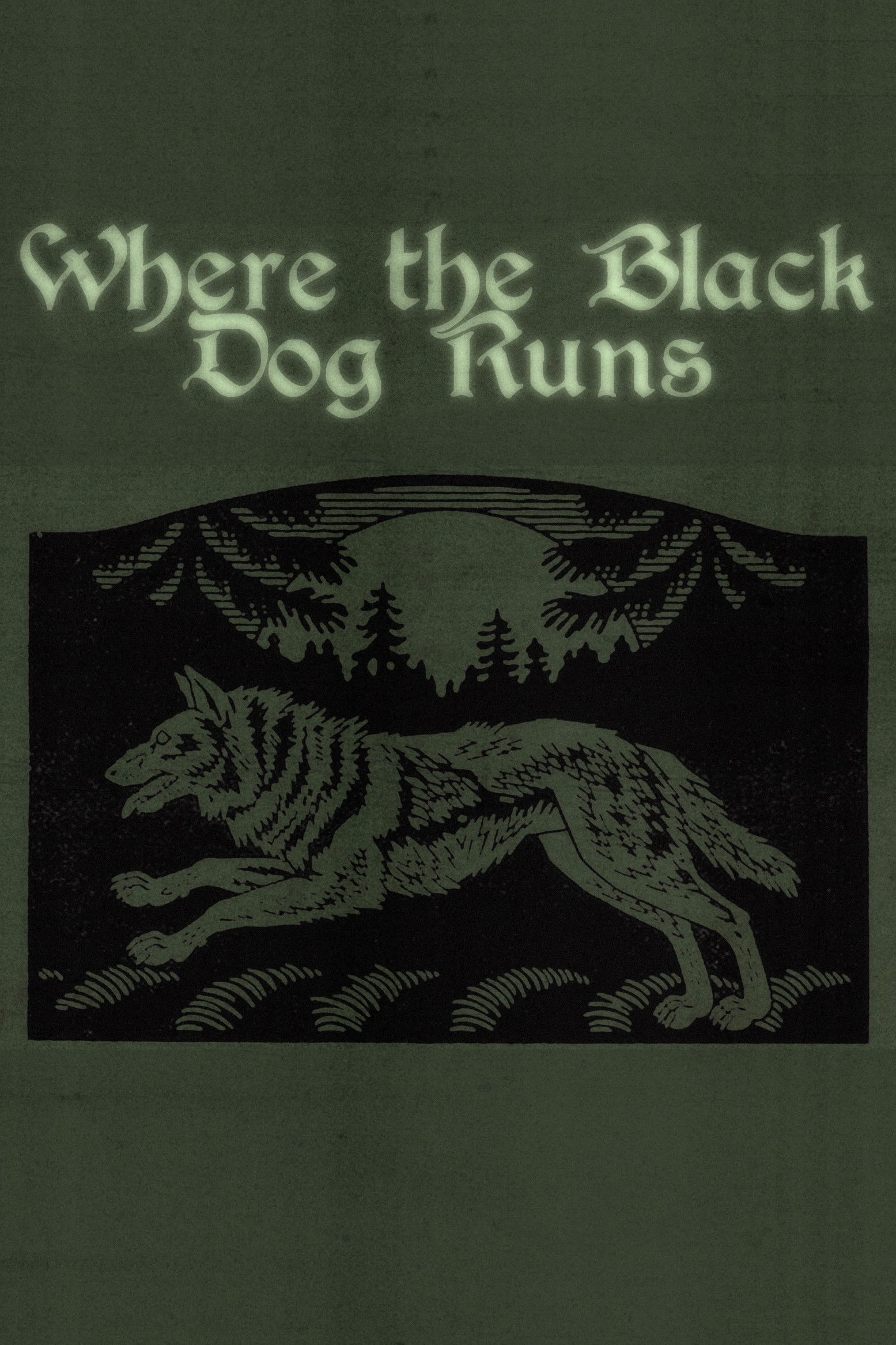 Where the Black Dog Runs