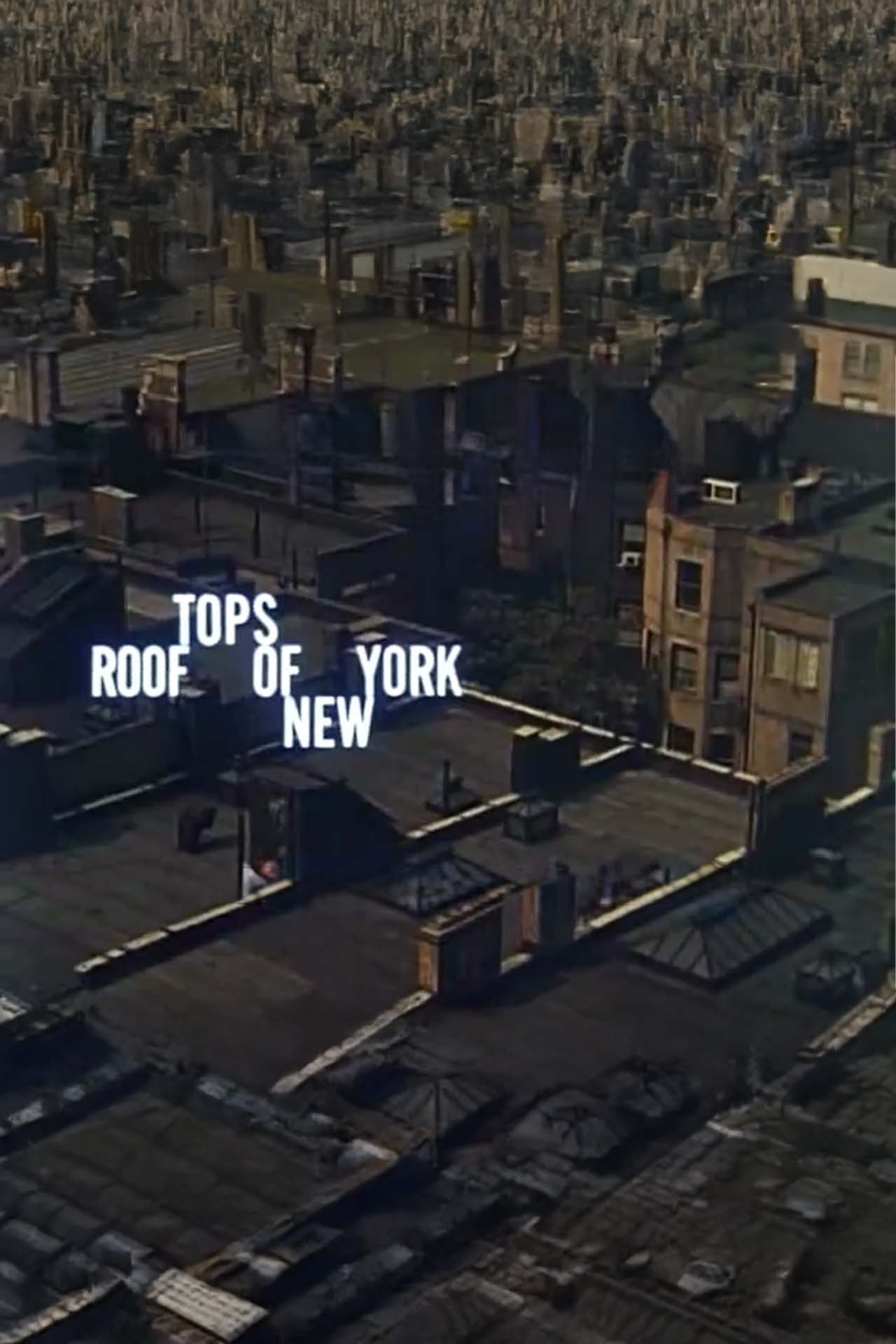 Rooftops of New York