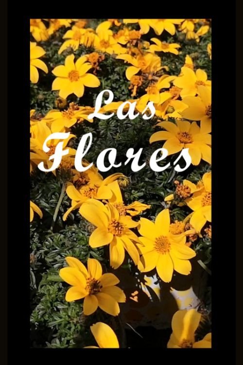 The Flowers