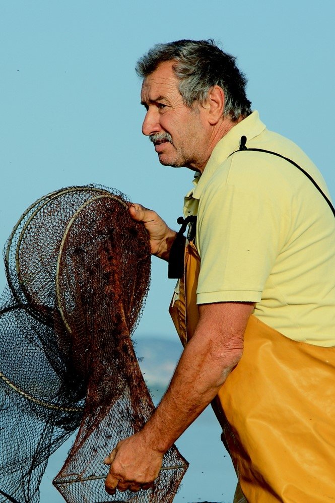 Franco Lupo image