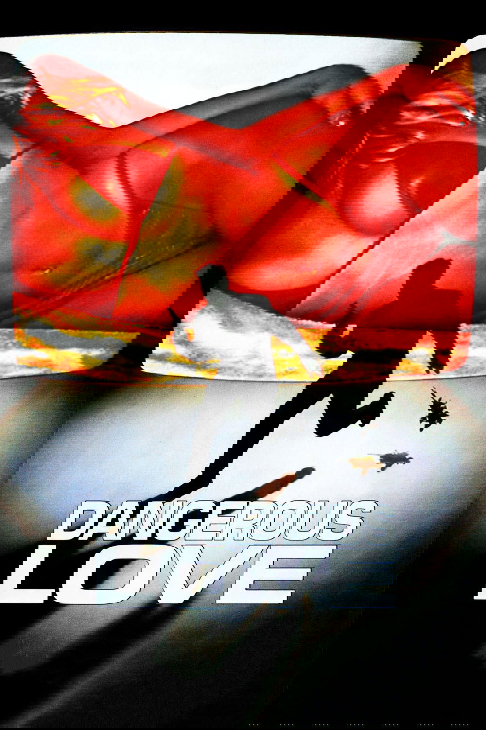 Dangerous Love