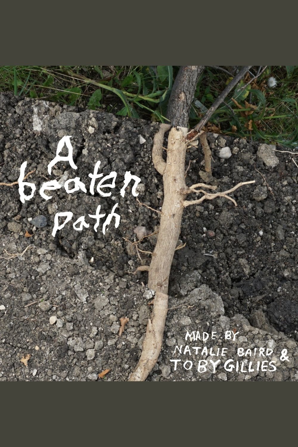 a beaten path