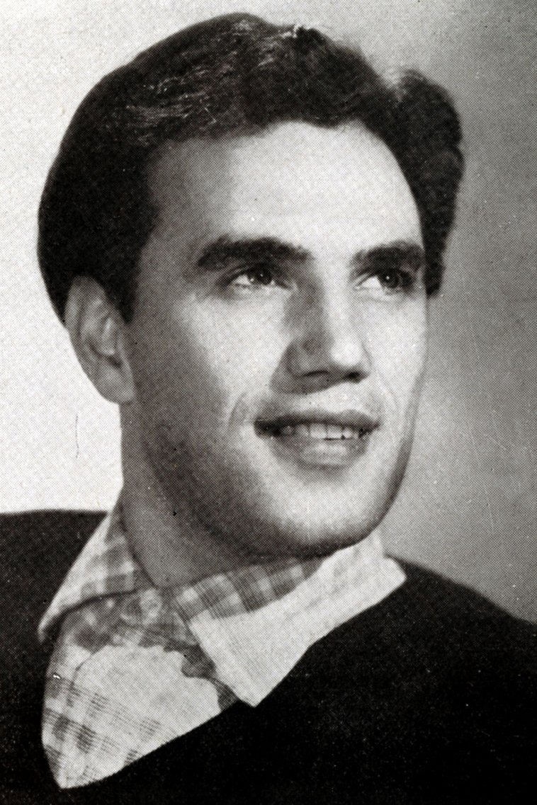 Renato Terra image