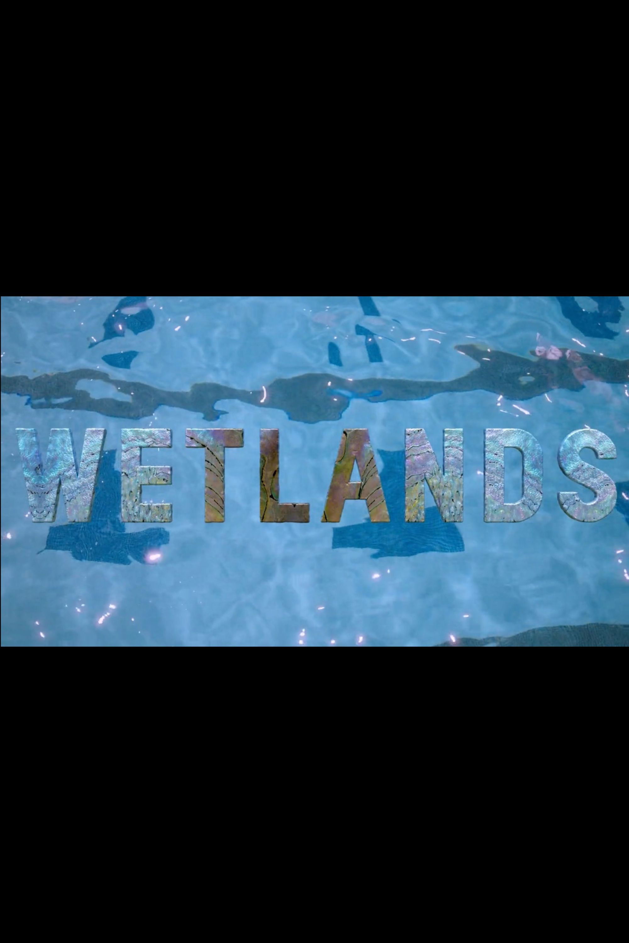 Wetlands