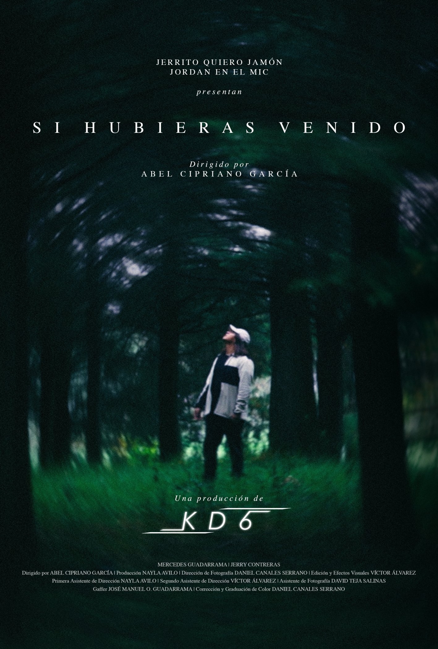 Si hubieras venido