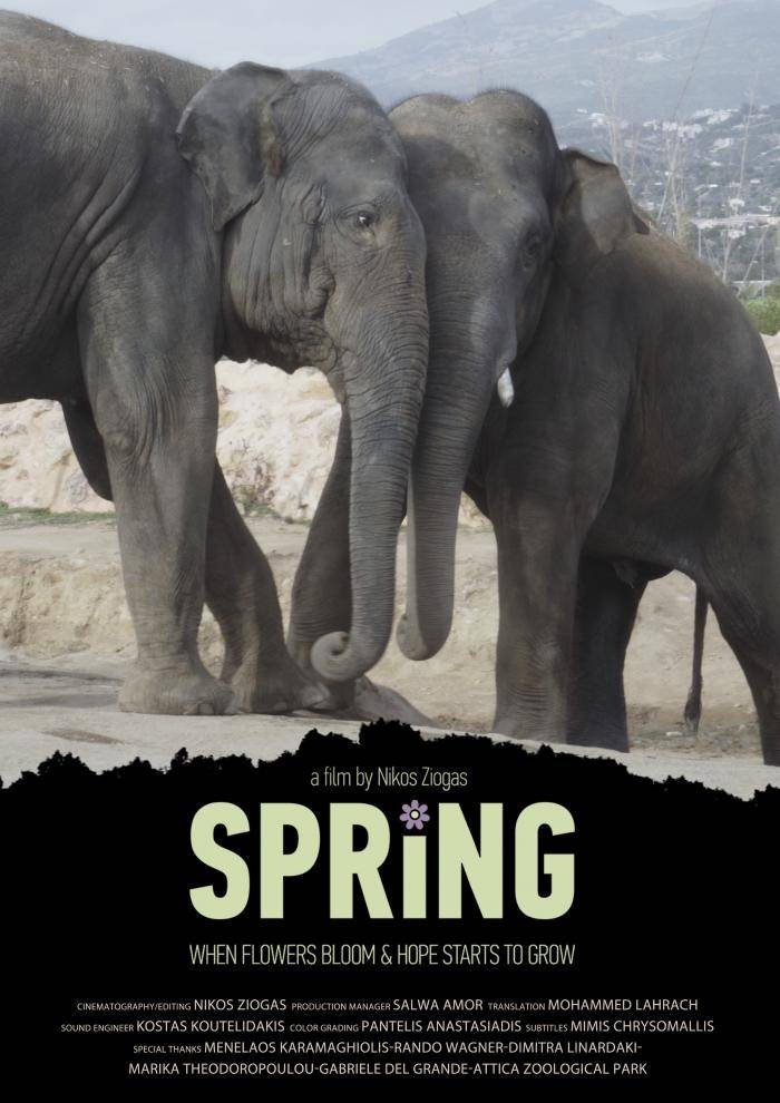 Spring