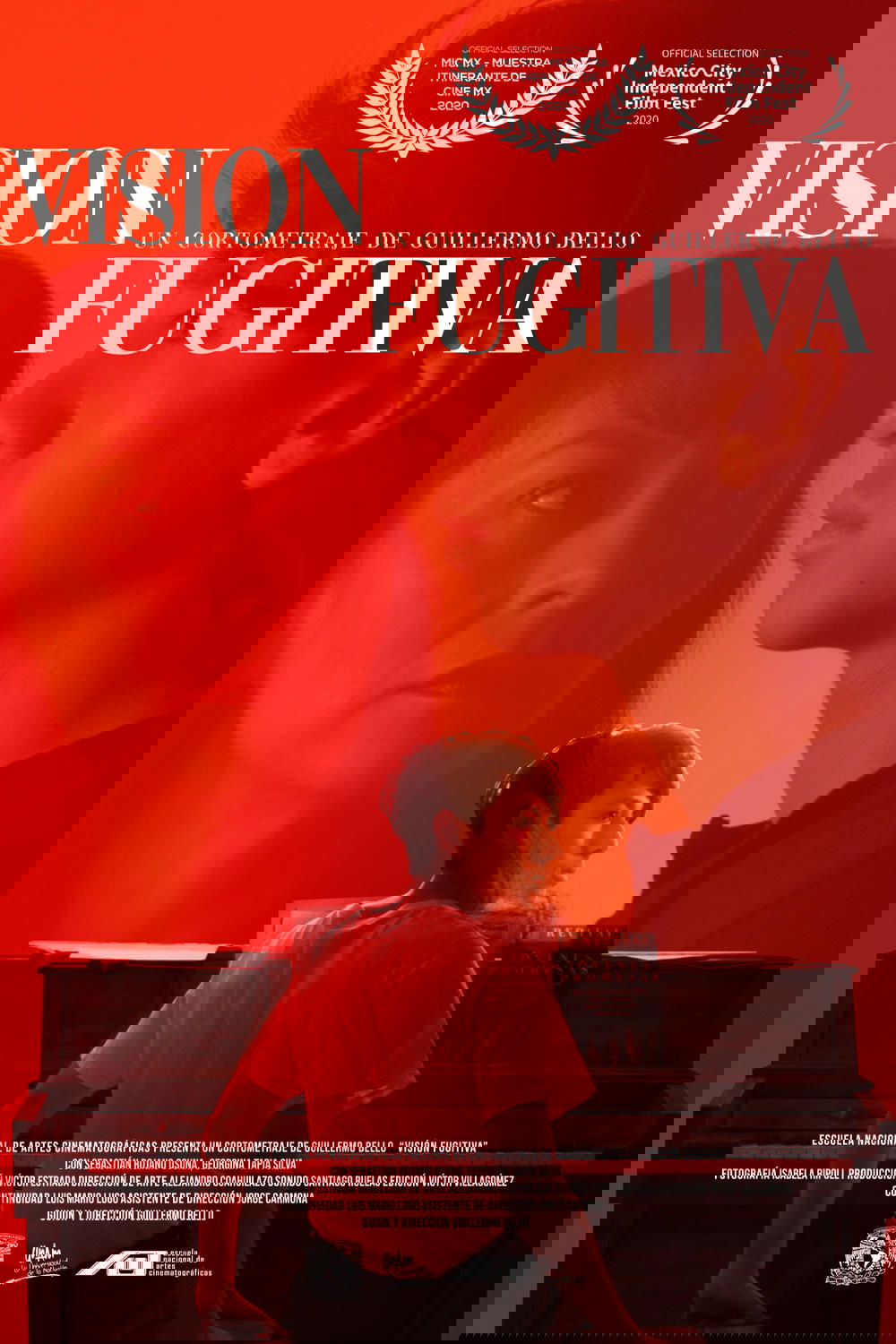 Fugitive Vision