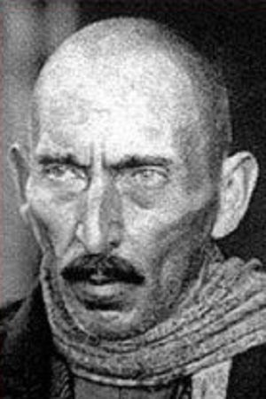 Ilia Mamporia image