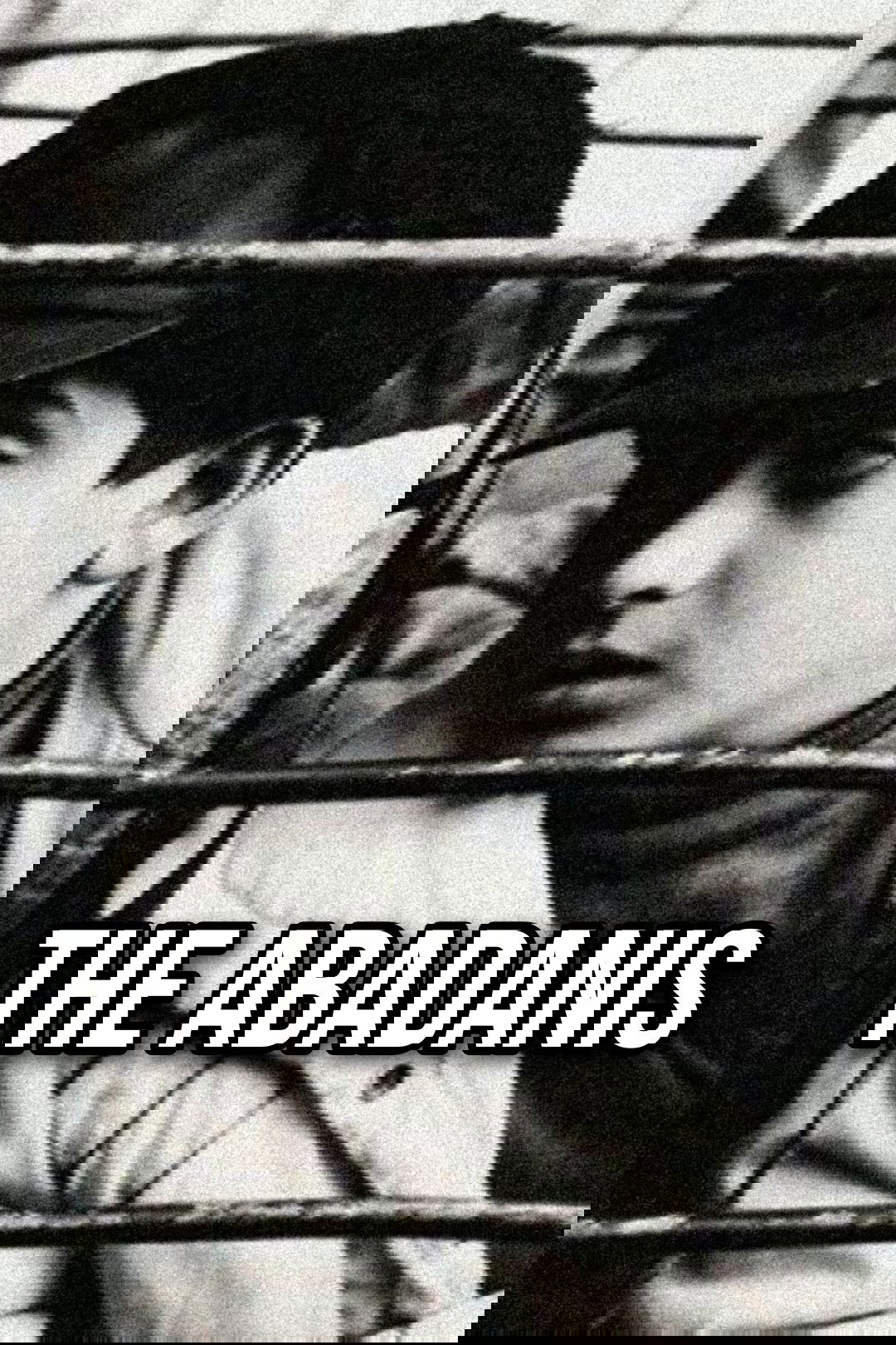 The Abadanis