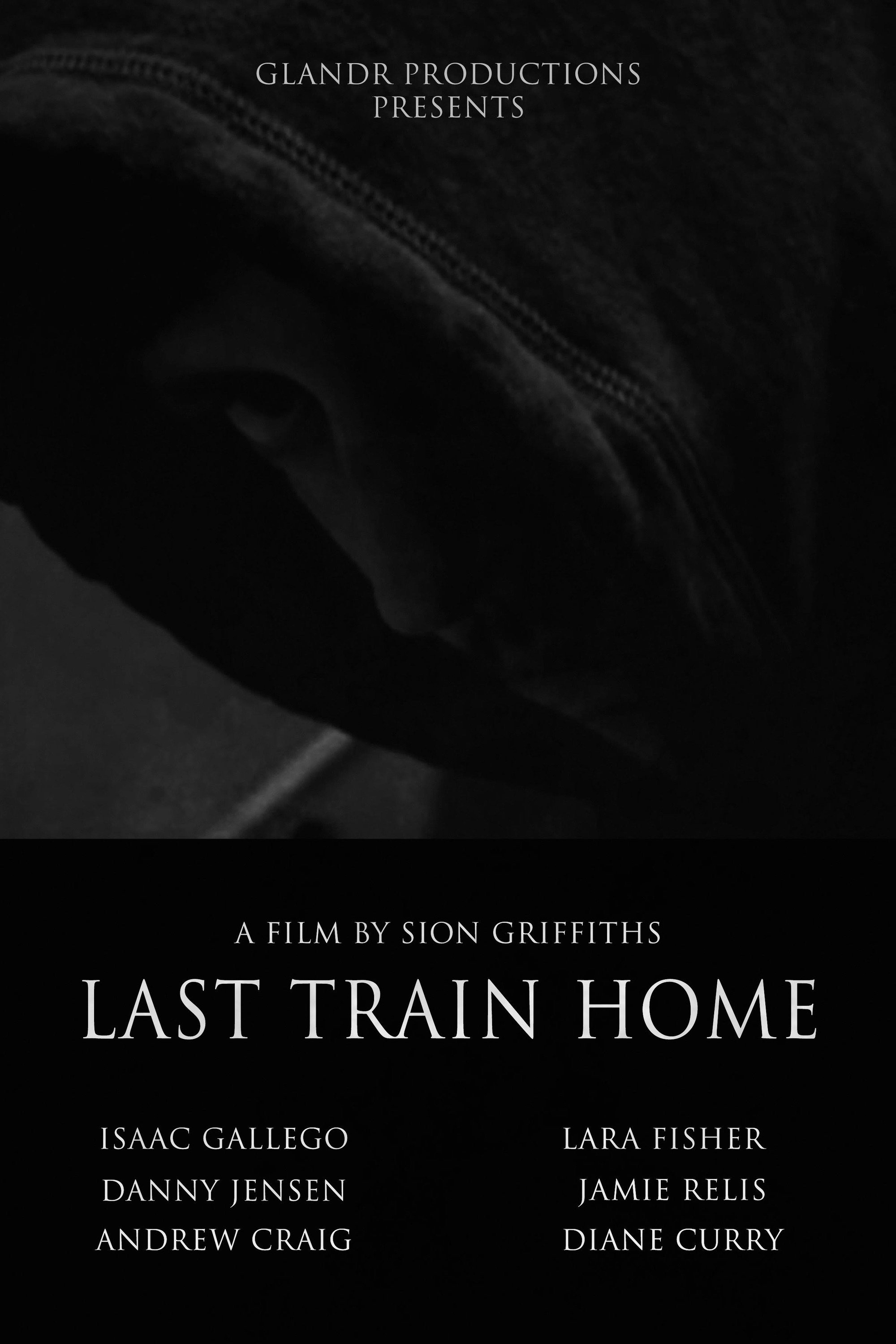 Last Train Home