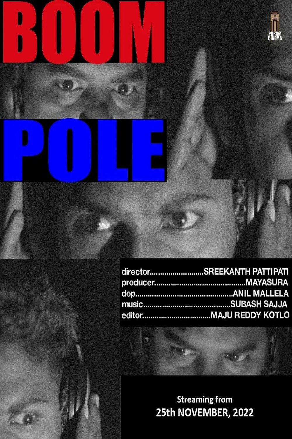 Boom Pole
