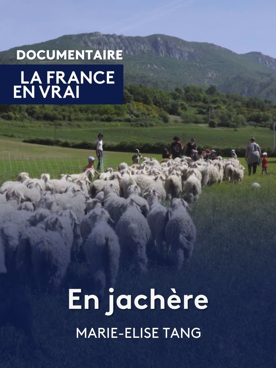 En Jachère