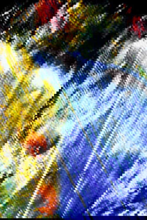 Unknown Woman