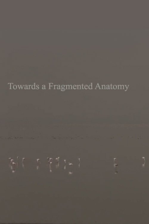 Towards a Fragmented Anatomy