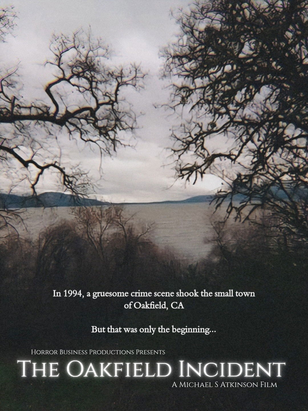 The Oakfield Incident