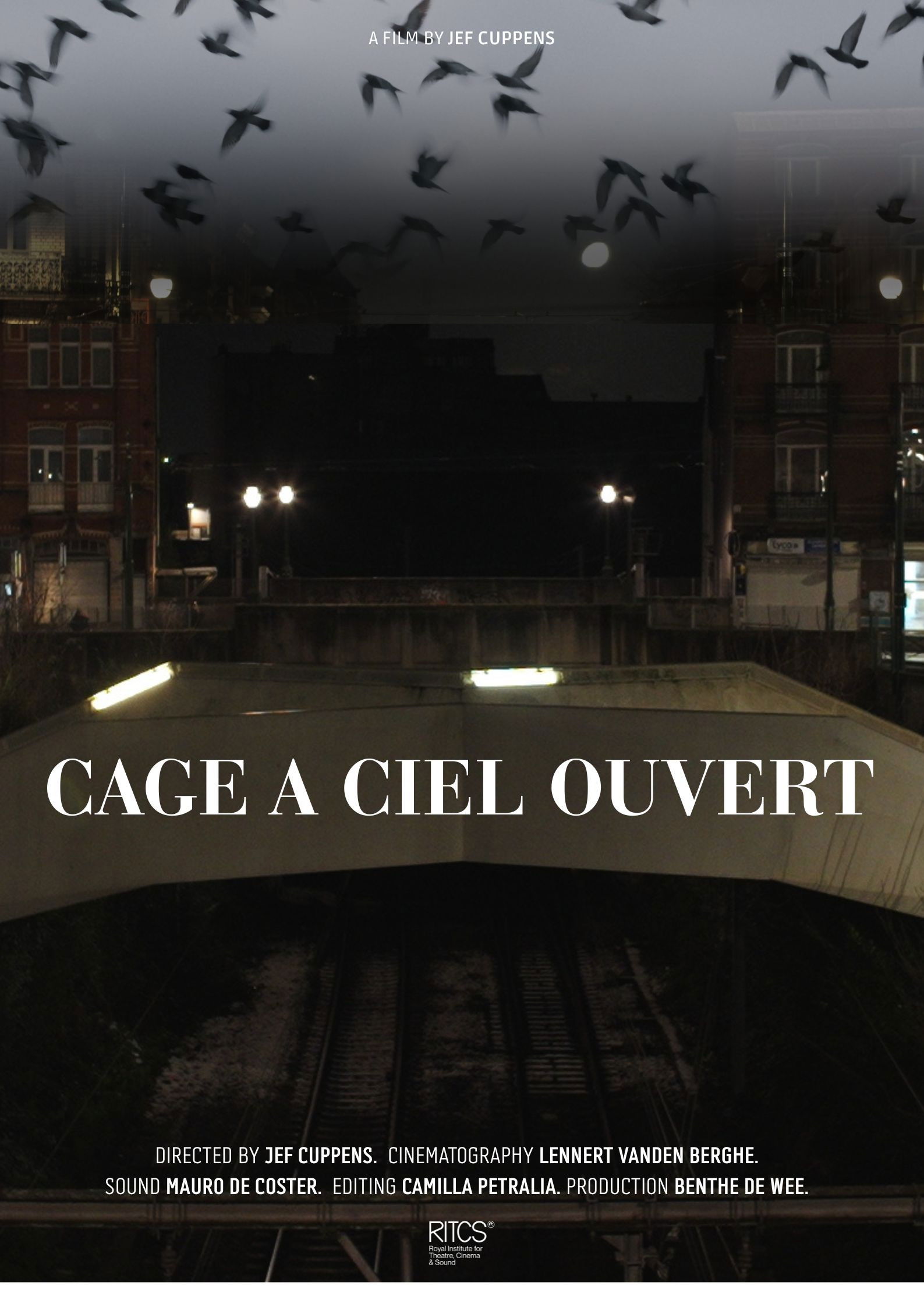 Cage À Ciel Ouvert