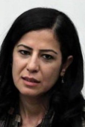 Ayla Akat image