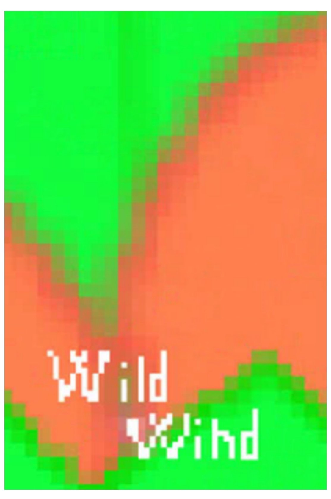 Wild Wind