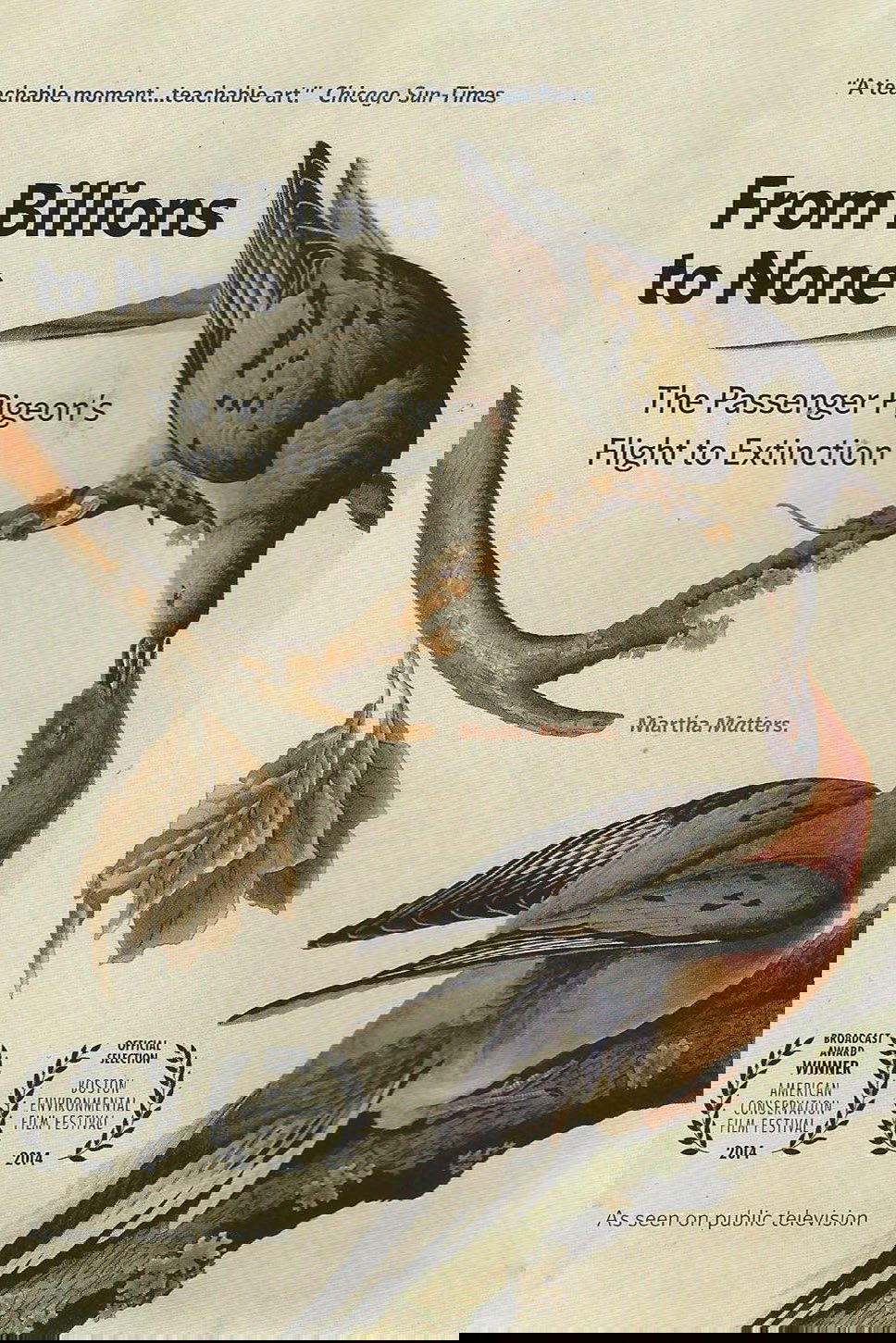 From Billions to None: The Passenger Pigeon's Flight to Extinction
