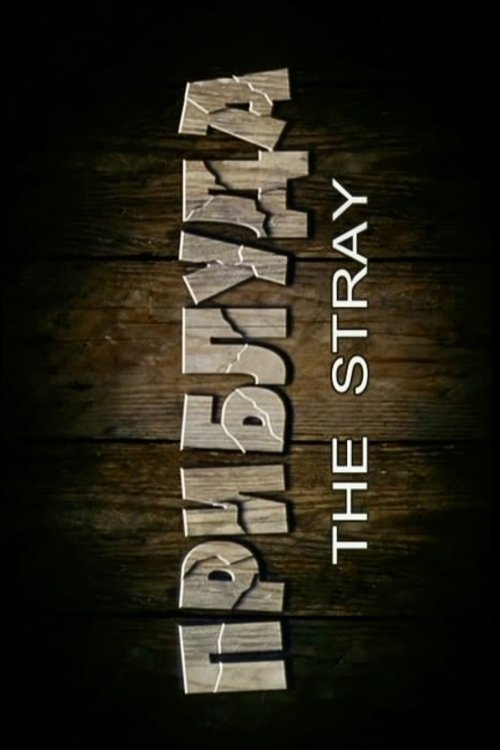 The Stray