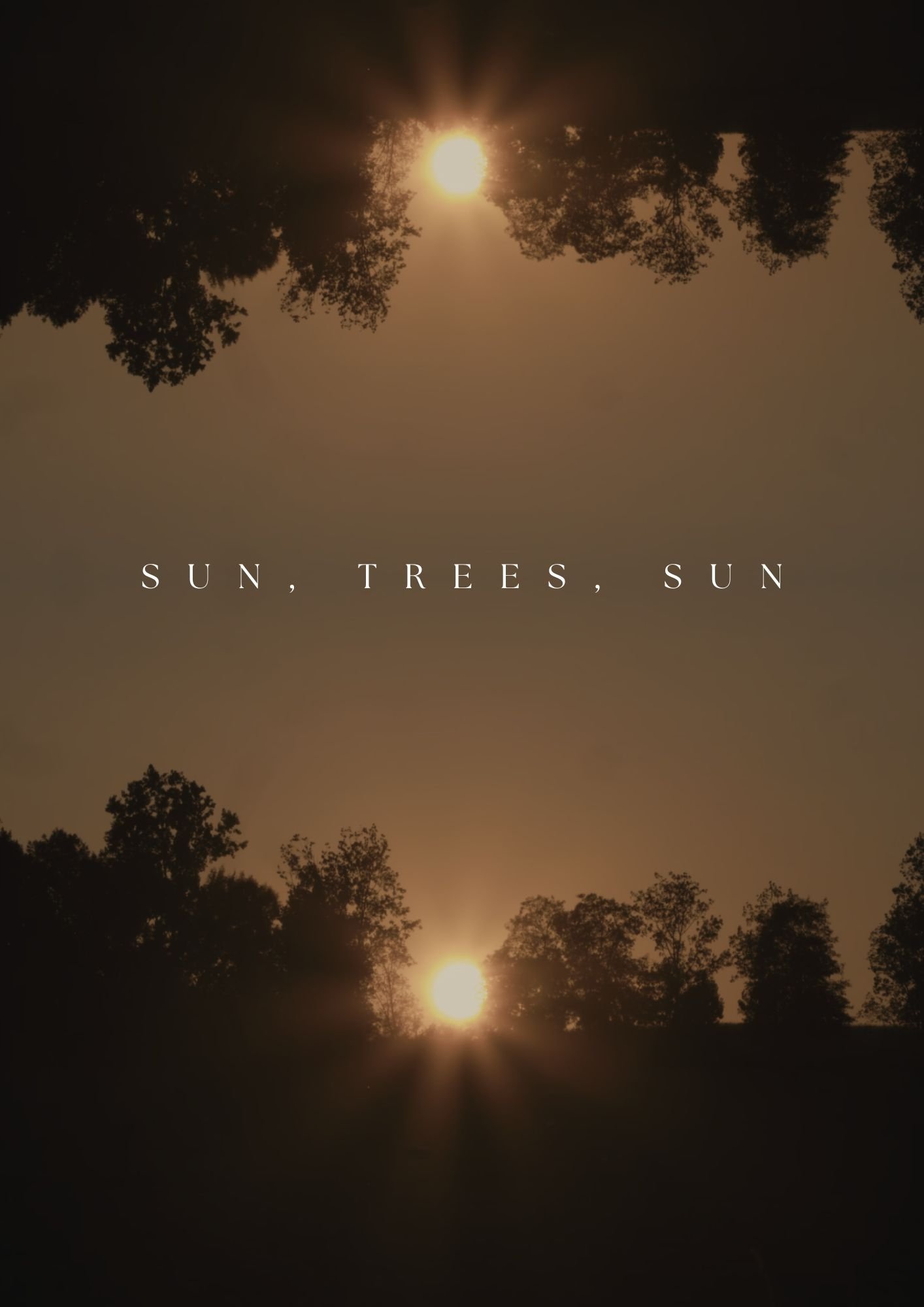 Sun, Trees, Sun