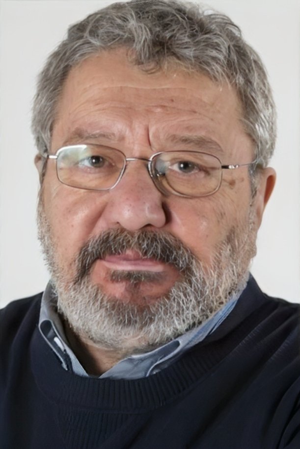 Mehmet Birkiye image