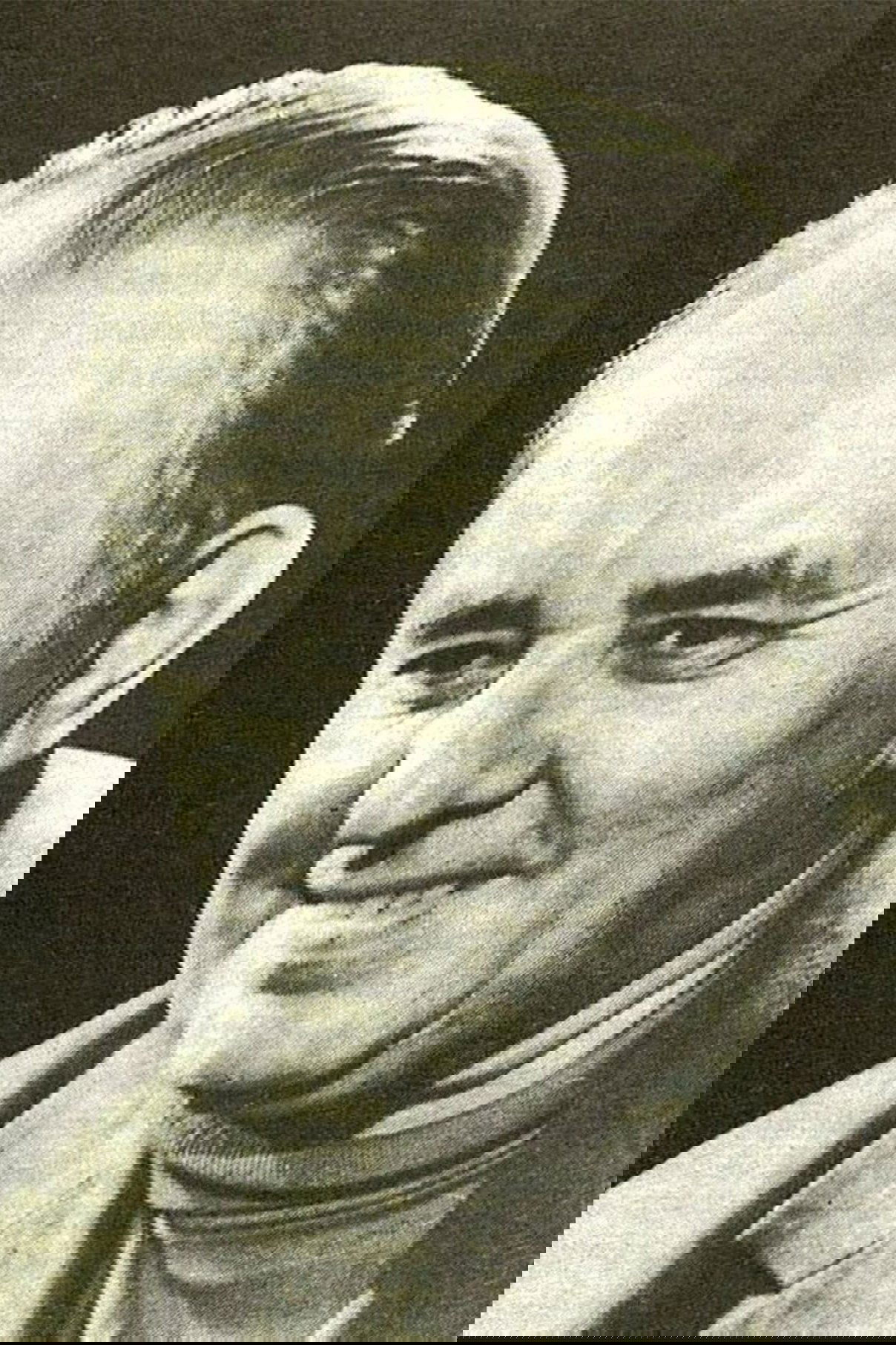 Vladimir Belyayev image
