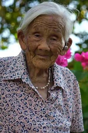 Wei Shaolan image
