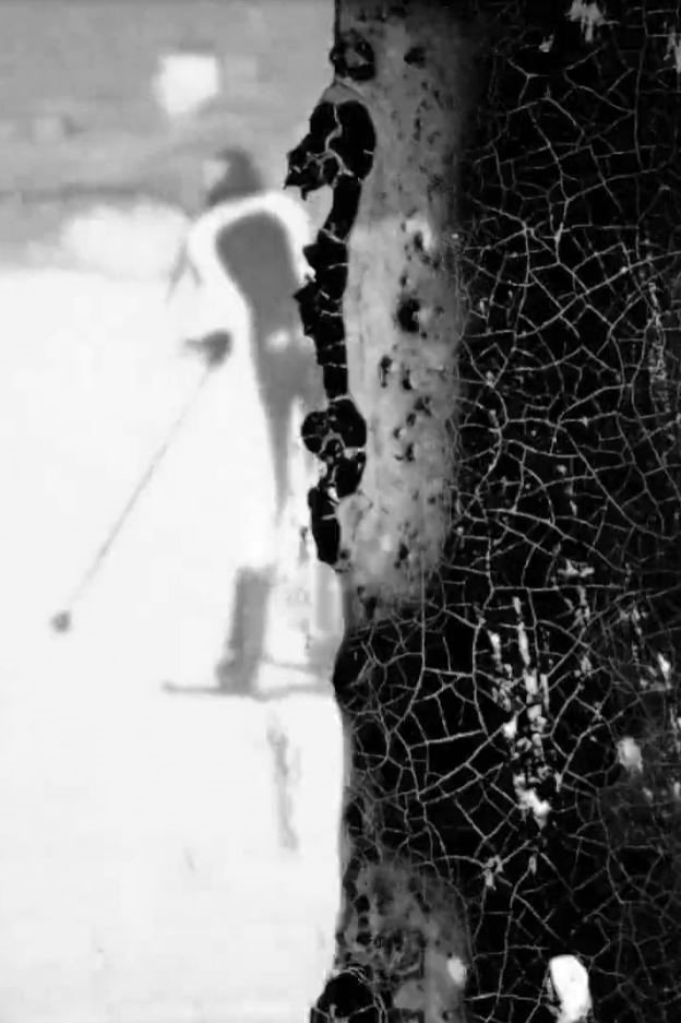 Black Snow
