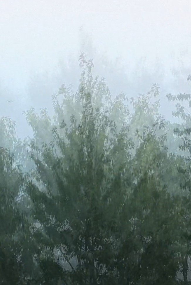 Wind